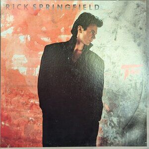 Rick Springfield Tao RCA AJL1-5370 VTG Vintage Record LP, Album, Ind 1579402942